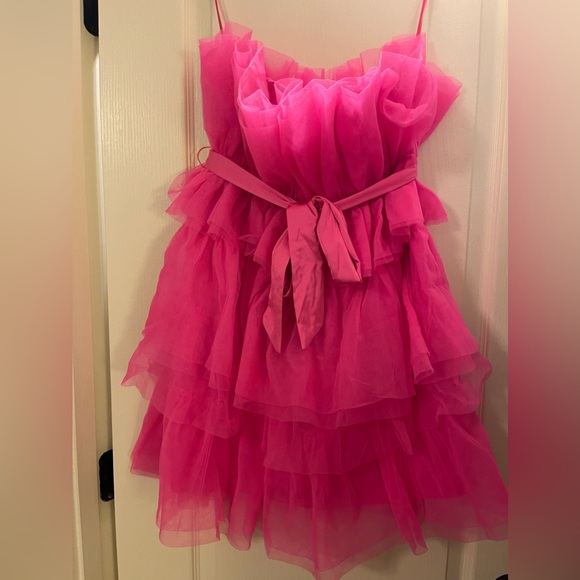 thirty thirty la pink dress Thirty Thirty LA Dress Womens Medium Floral Embroidered Mesh Overlay Puff Sleeve